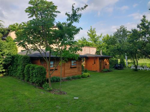 a house with a tree in front of a yard at Willa Amber Zakościele in Inowłódz