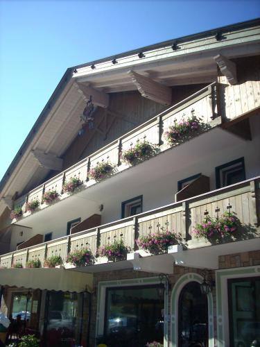 a building with potted plants on a balcony at HOTEL DOLOMITI di De Martin D Oscar in Comèlico Superiore