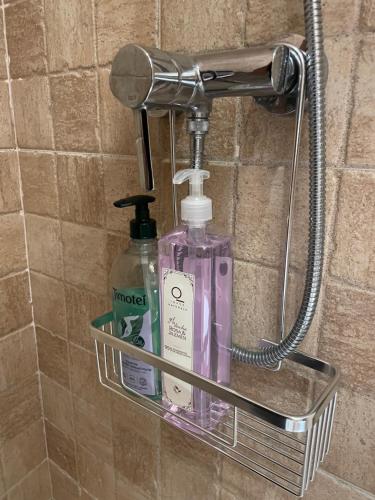 - une étagère dans la salle de bains avec 2 bouteilles de savon et un sèche-cheveux dans l'établissement La casa de las Flores de El Hornillo, à El Hornillo