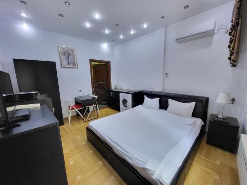 Mega Mall Arena Nationala Monza Ap