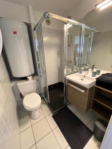 La salle de bains est pourvue d'une douche, de toilettes et d'un lavabo. dans l'établissement Loriot2 - appartement vue sur mer, à Ploemeur