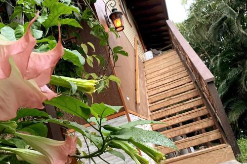 eine Holztreppe, die zu einem Haus mit Pflanzen führt in der Unterkunft Phoenix Garden in Pahoa