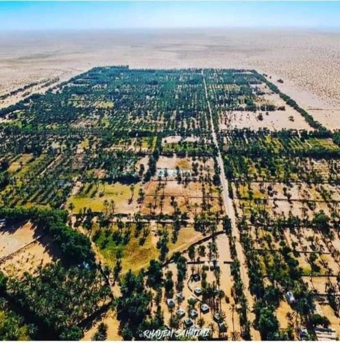 an aerial view of a field with trees at Hotel Pansy in Ksar Ghilane