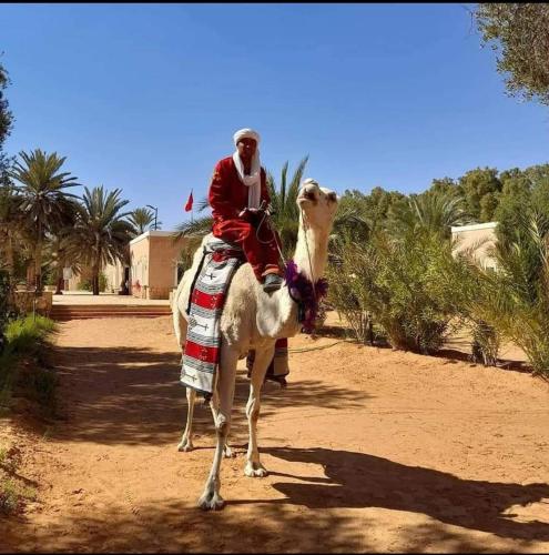 a man riding on a camel in the desert at Hotel Pansy in Ksar Ghilane