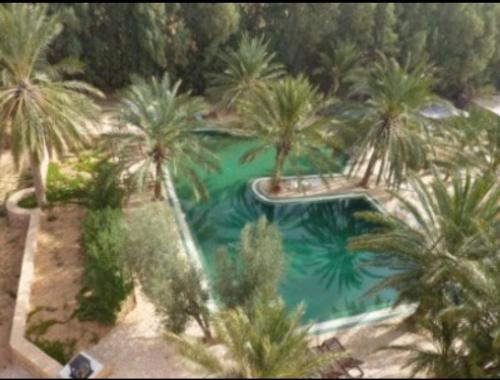 una vista aérea de una piscina con palmeras en Hotel Pansy, en Qaşr Ghīlān