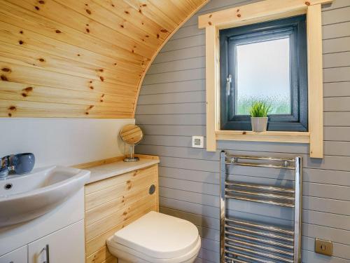 a bathroom with a toilet and a sink and a window at Barcud- UK37574 in Llanboidy