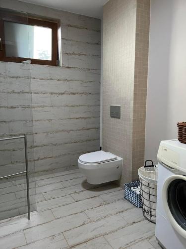 a bathroom with a toilet and a sink at Bosio nad morze in Sztutowo