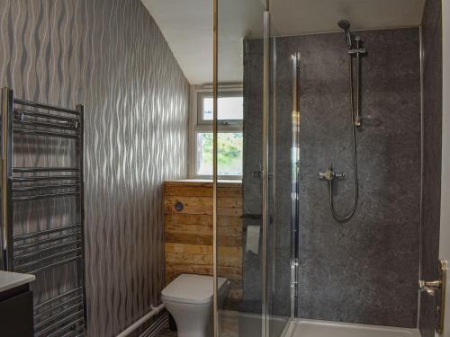 a bathroom with a shower and a toilet at Highgate in Brynkir