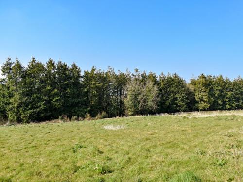 un campo con césped verde y árboles al fondo en Old Highwood - Piggy In The Middle en Luppitt