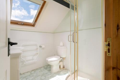 a bathroom with a toilet and a glass shower at Oak Cottage Chapel Stile in Chapel Stile