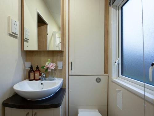 a bathroom with a white sink and a mirror at Winchester Lodge at Daisy Bank Caravan Park in Hyssington
