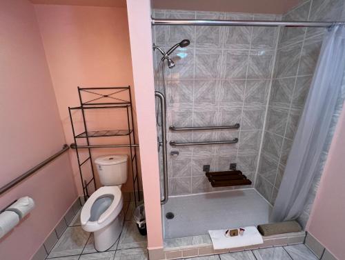 a bathroom with a shower and a toilet at Frazier View Motel in Frazier Park