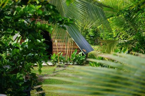 un jardín con una valla de bambú y una pasarela en Bewak CR, en Tortuguero