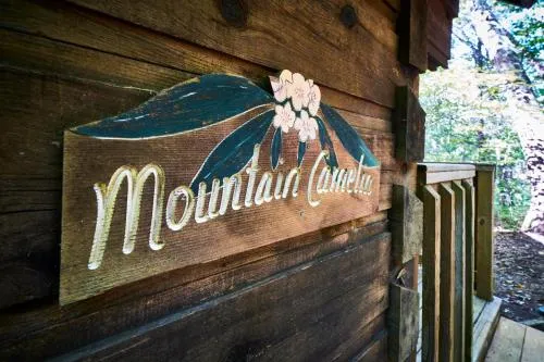 Gatlinburg Adventure Cabins photo 19