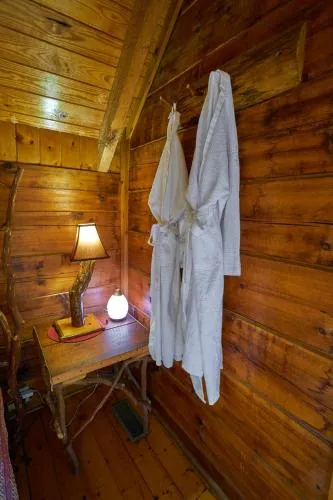 Gatlinburg Adventure Cabins photo 17
