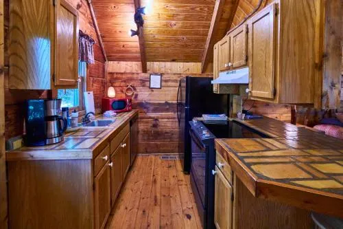 Gatlinburg Adventure Cabins photo 10