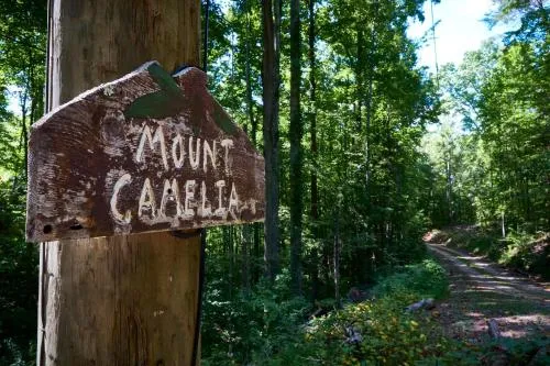 Gatlinburg Adventure Cabins photo 5