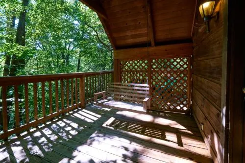 Gatlinburg Adventure Cabins photo 21