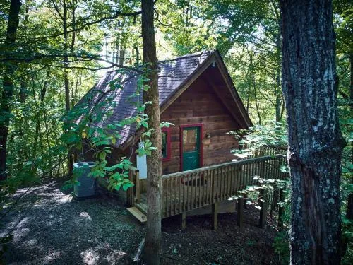 Gatlinburg Adventure Cabins photo 3