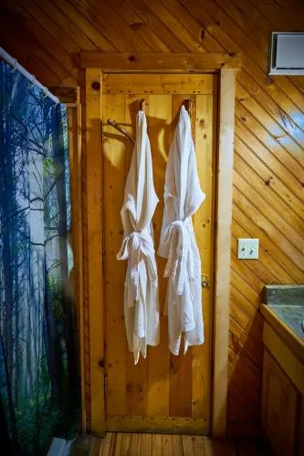 Gatlinburg Adventure Cabins photo 49