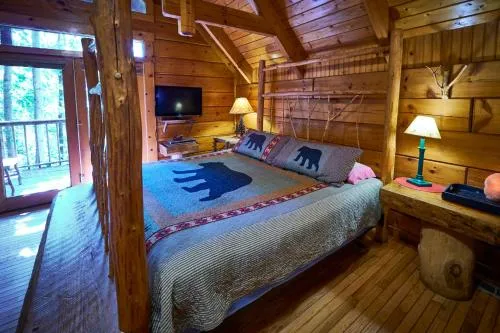 Gatlinburg Adventure Cabins photo 63
