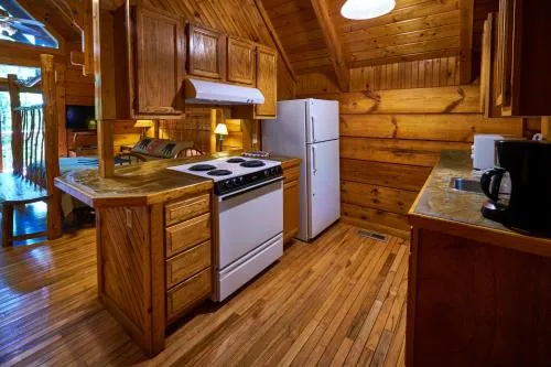 Gatlinburg Adventure Cabins photo 62