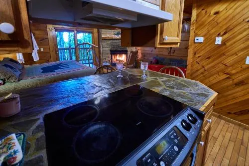 Gatlinburg Adventure Cabins photo 68