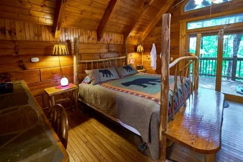 Gatlinburg Adventure Cabins photo 80