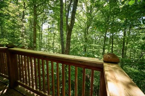 Gatlinburg Adventure Cabins photo 100