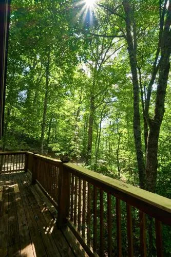 Gatlinburg Adventure Cabins photo 73