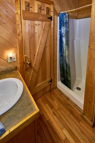 Gatlinburg Adventure Cabins photo 106