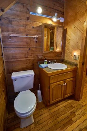 Gatlinburg Adventure Cabins photo 104