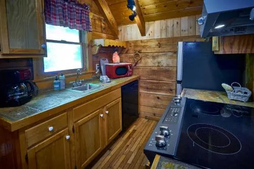 Gatlinburg Adventure Cabins photo 114