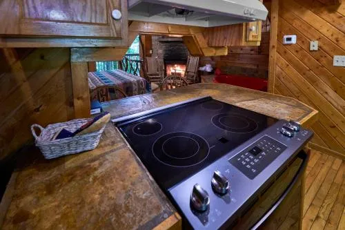 Gatlinburg Adventure Cabins photo 111