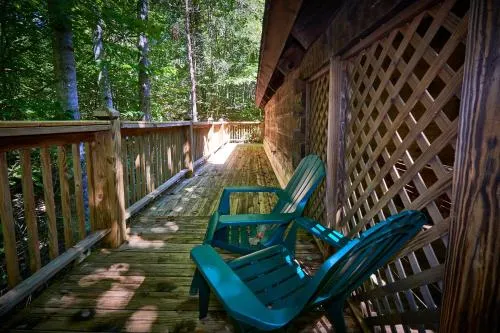 Gatlinburg Adventure Cabins photo 128
