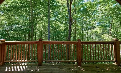 Gatlinburg Adventure Cabins photo 126
