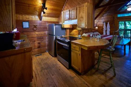 Gatlinburg Adventure Cabins photo 190