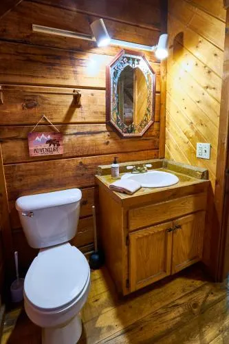 Gatlinburg Adventure Cabins photo 178