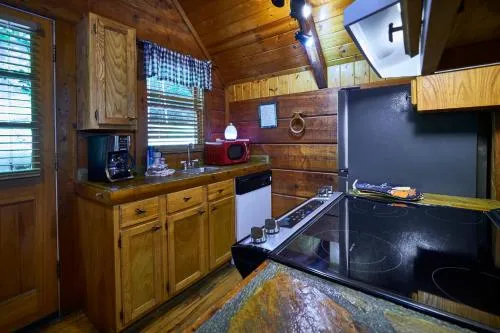 Gatlinburg Adventure Cabins photo 176