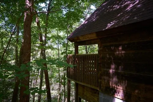 Gatlinburg Adventure Cabins photo 193
