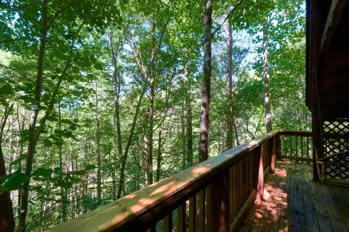 Gatlinburg Adventure Cabins photo 200