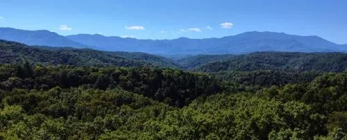 Gatlinburg Adventure Cabins photo 202