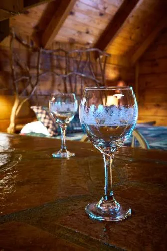 Gatlinburg Adventure Cabins photo 205