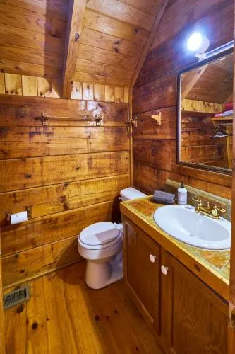 Gatlinburg Adventure Cabins photo 203