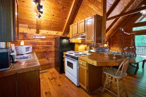 Gatlinburg Adventure Cabins photo 217