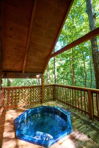 Gatlinburg Adventure Cabins photo 237