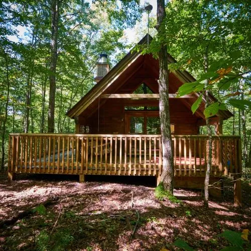 Gatlinburg Adventure Cabins photo 235