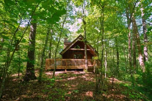 Gatlinburg Adventure Cabins photo 232