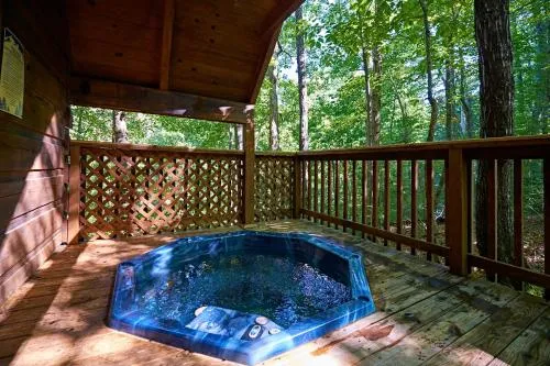Gatlinburg Adventure Cabins photo 231