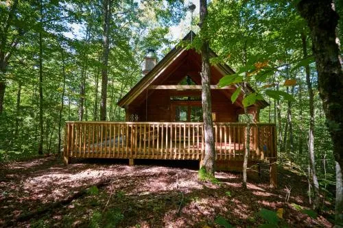 Gatlinburg Adventure Cabins photo 247